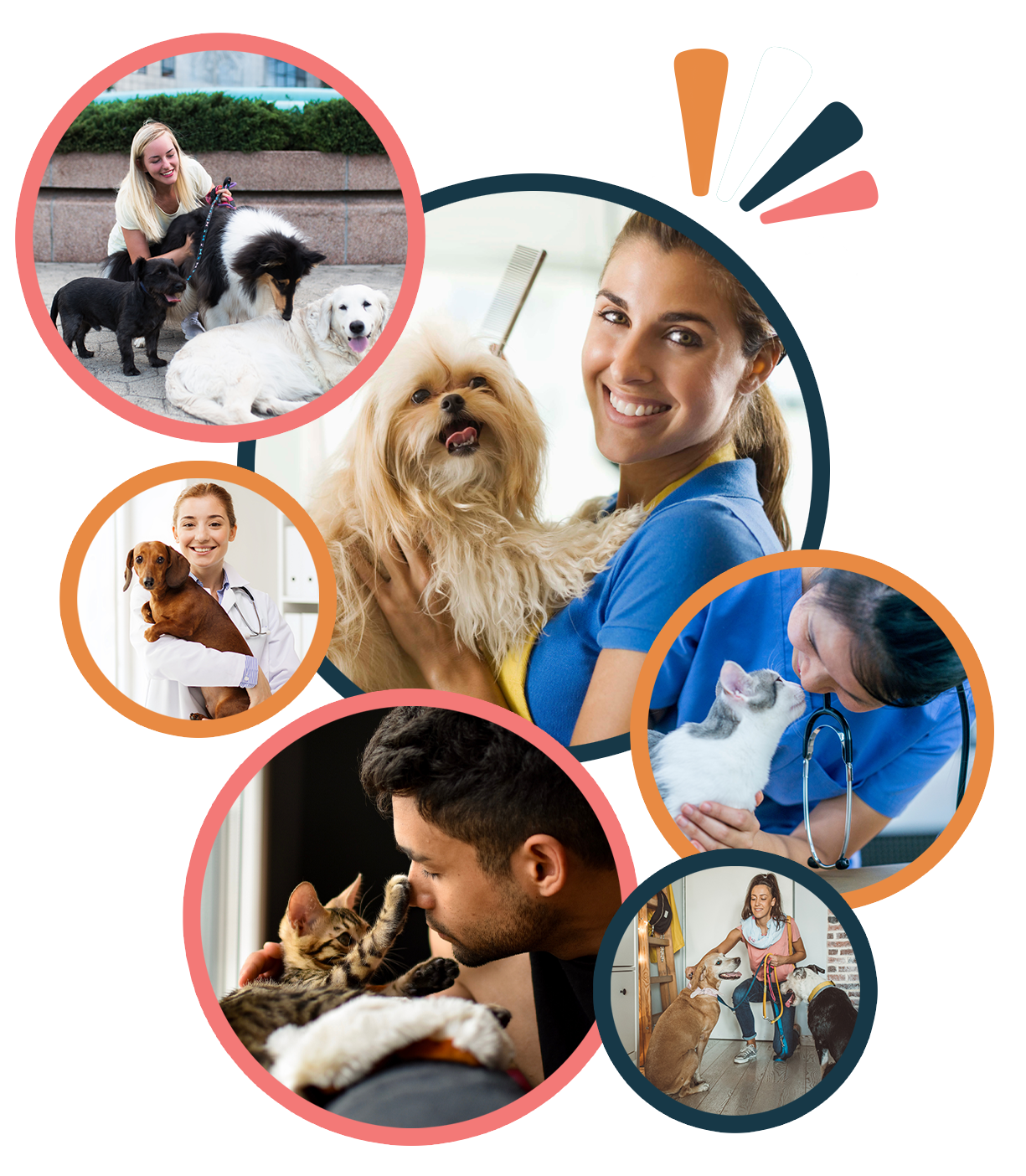 Photo Collage of Pet Professionals & Pets