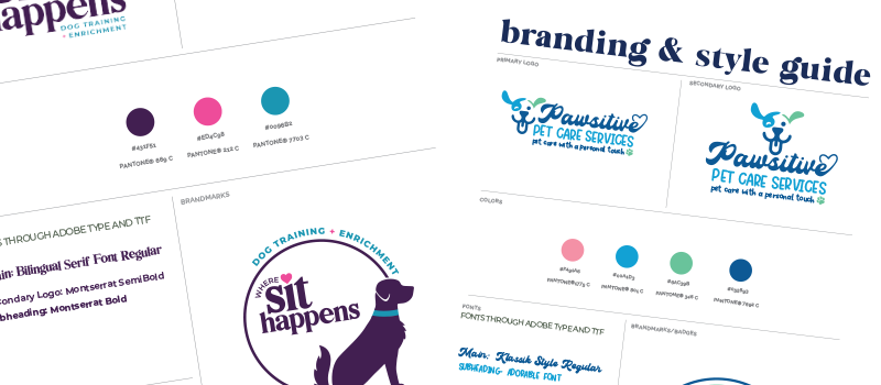 Example of Petfluence Logo Along with Color Palettes and Guide