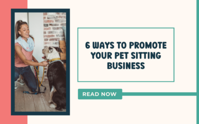 6 Ways To Promote Your Pet Sitting Business