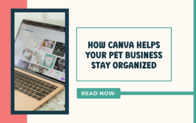 How Canva Helps Your Pet Business Stay Organized