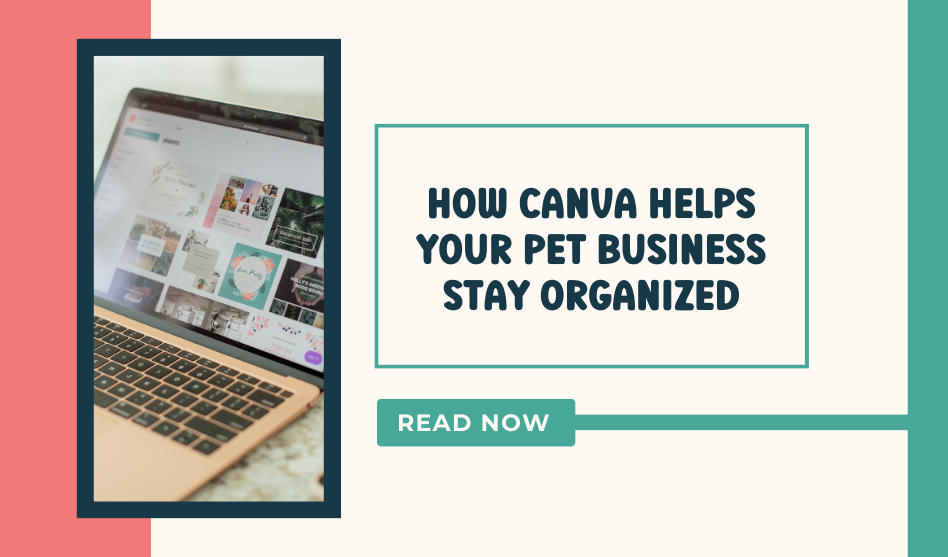 How Canva Helps Your Pet Business Stay Organized